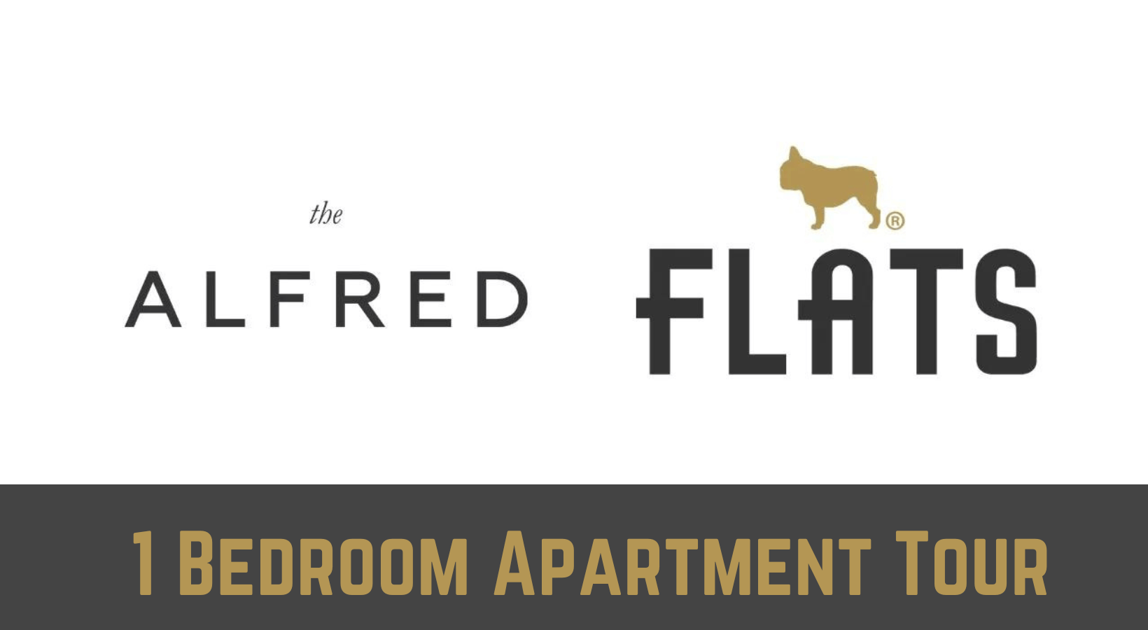 The Alfred 1 Bedroom Apartment in The Loop Chicago  Tour