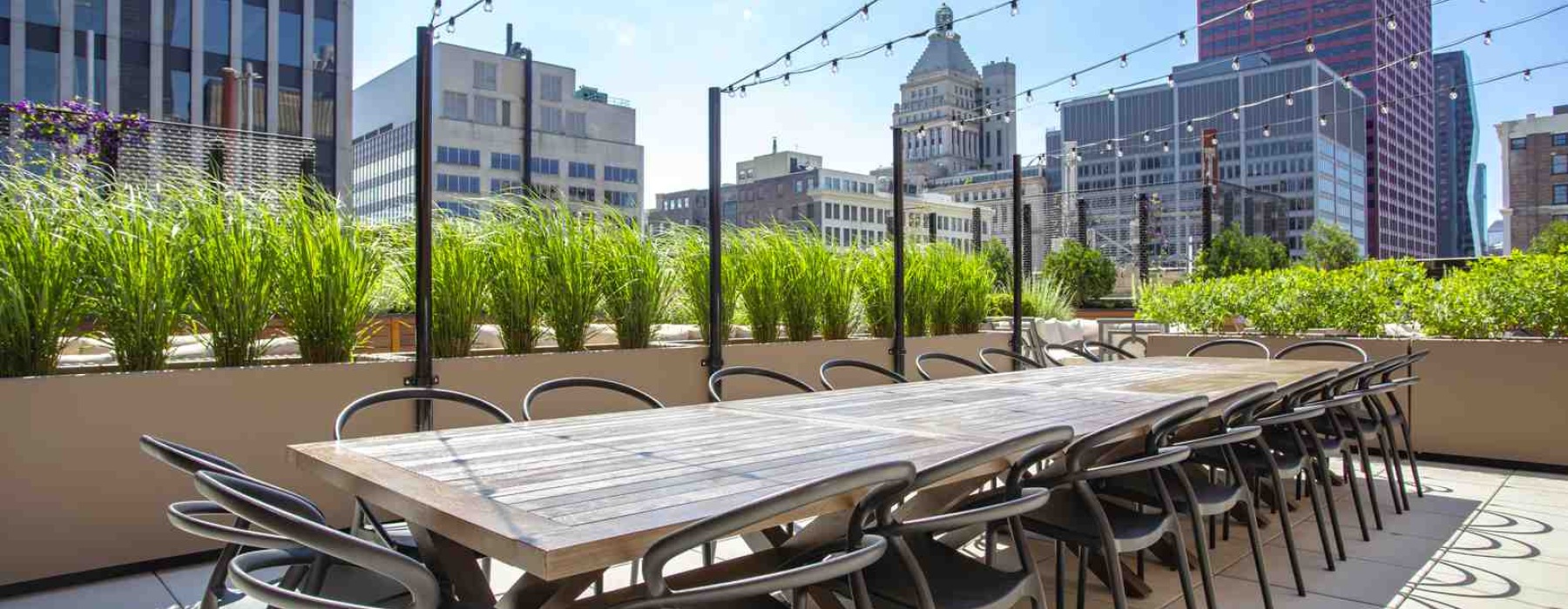 south loop lofts for rent