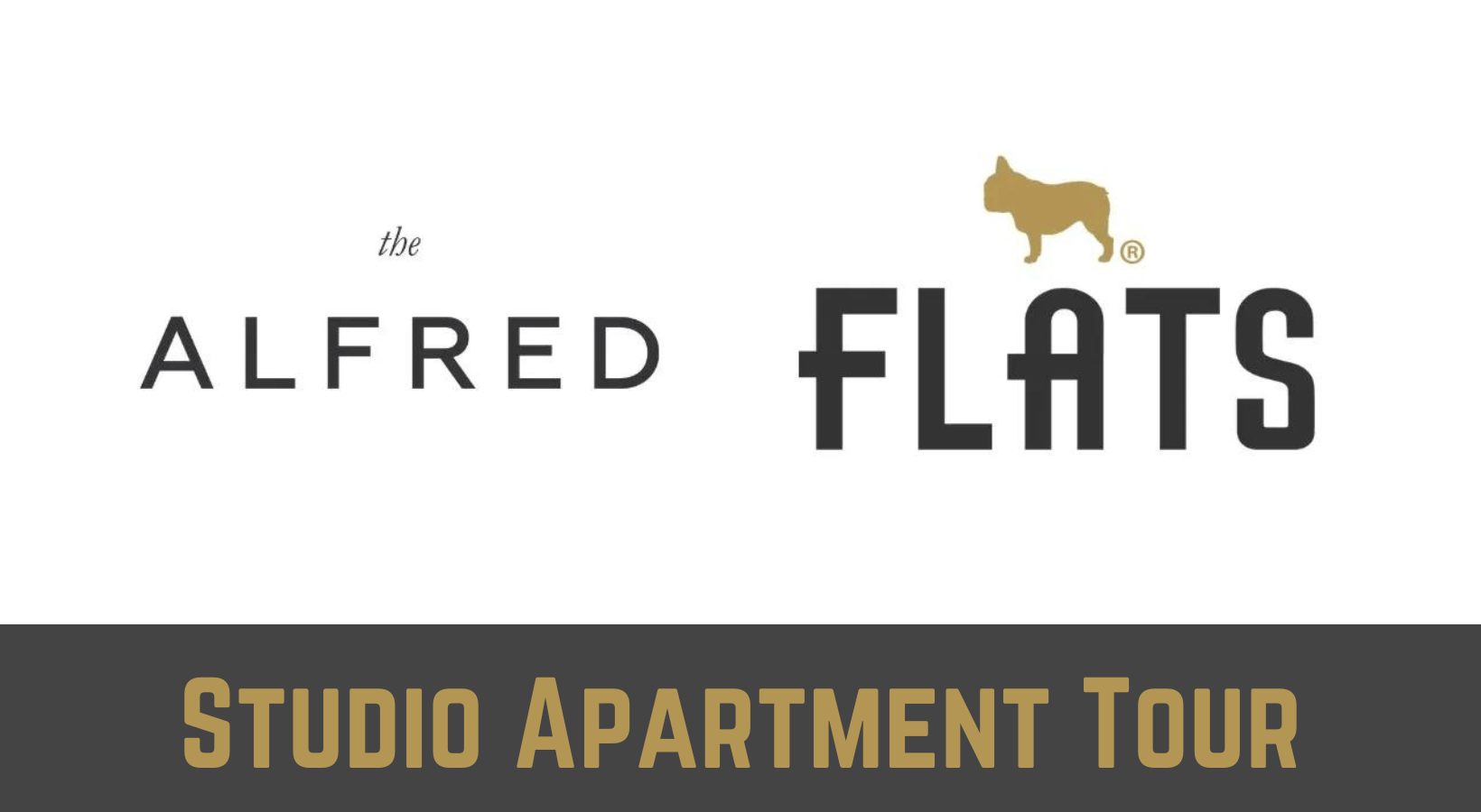 Walkthrough The Alfred Studio Apartment in The Loop Chicago 