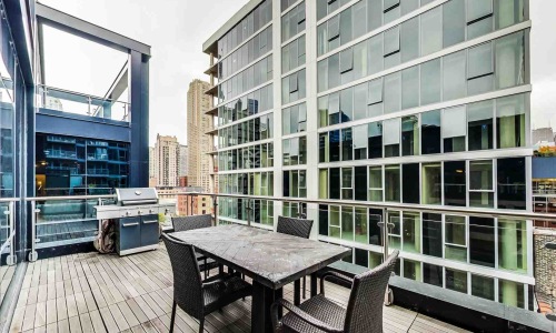 chicago dog-friendly apartments