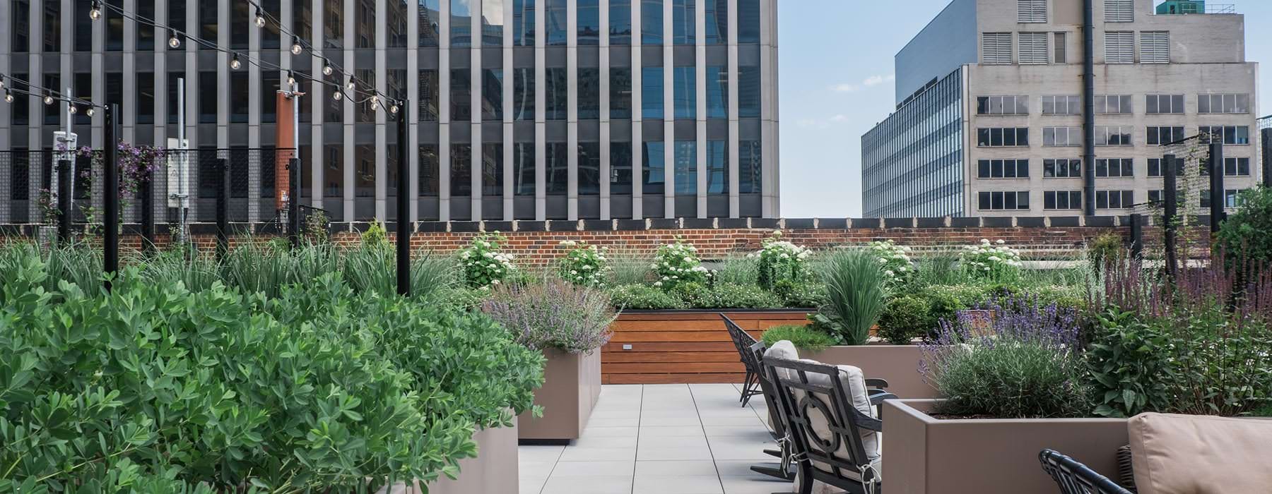 planters filled with various flowers decorate rooftop terrace