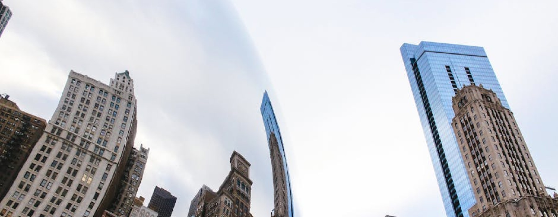 chicago downtown dog condos