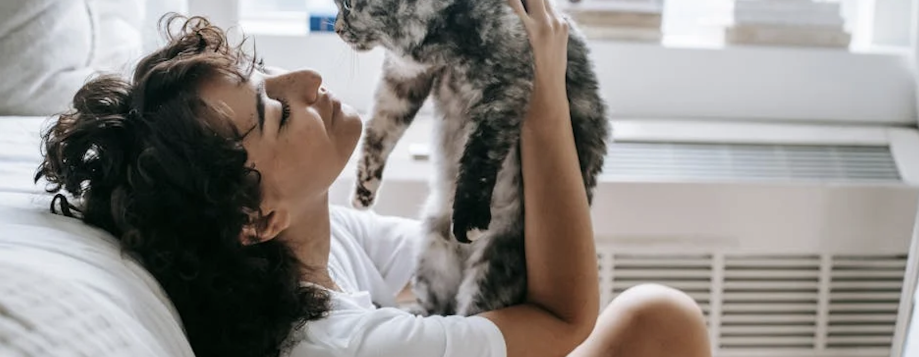 cat friendly rentals - cat friendly rentals