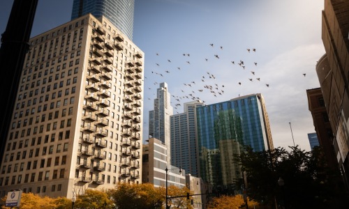 city of chicago skyline